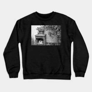 Ornate wood burner Crewneck Sweatshirt